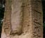 Quirigua Stela D